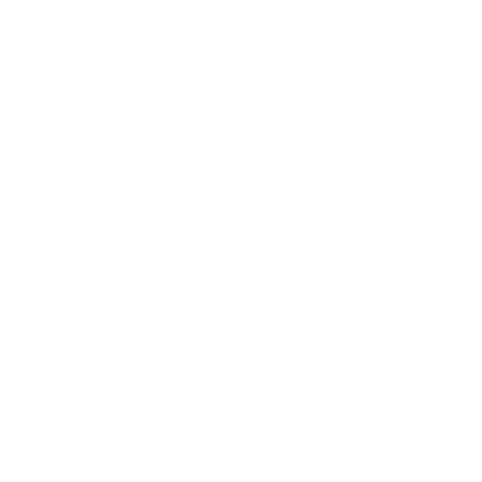 Charger Wire